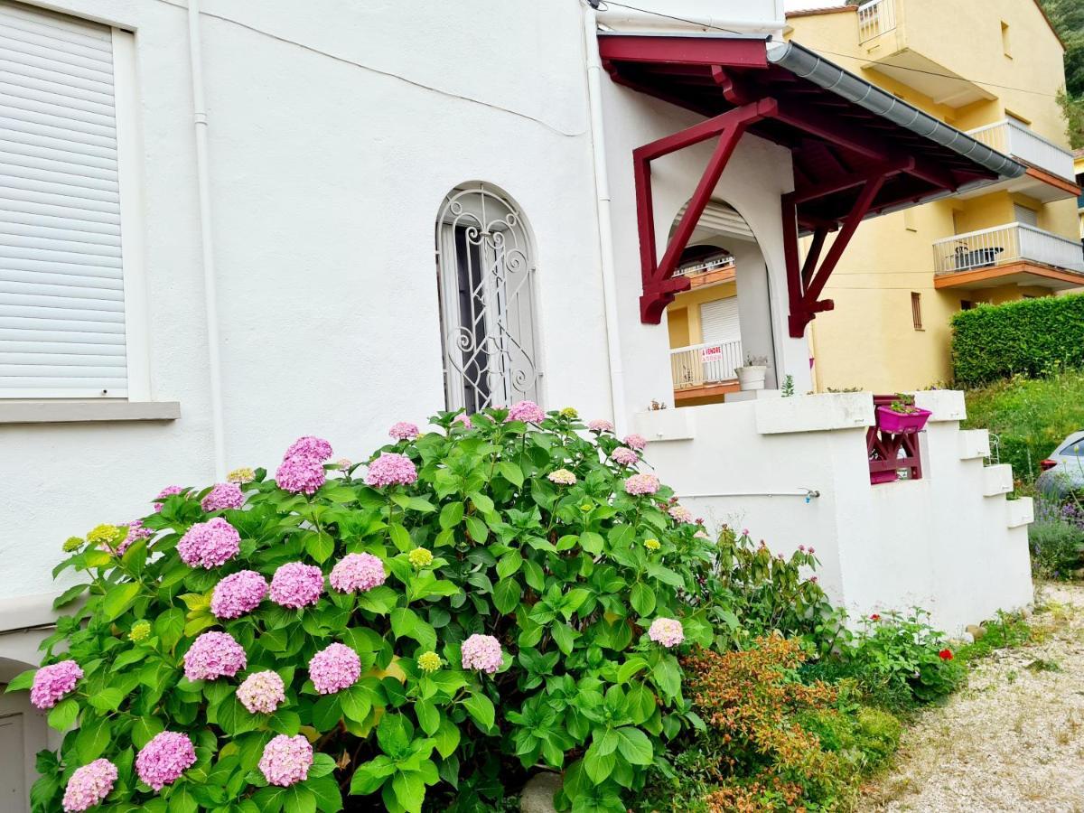 Villa La Closeraie Amélie-les-Bains-Palalda Exteriér fotografie